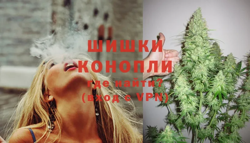 продажа наркотиков  Нижнекамск  Канабис OG Kush 